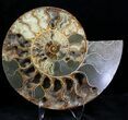 Split Agatized Ammonite - Crystal Pockets #21209-1